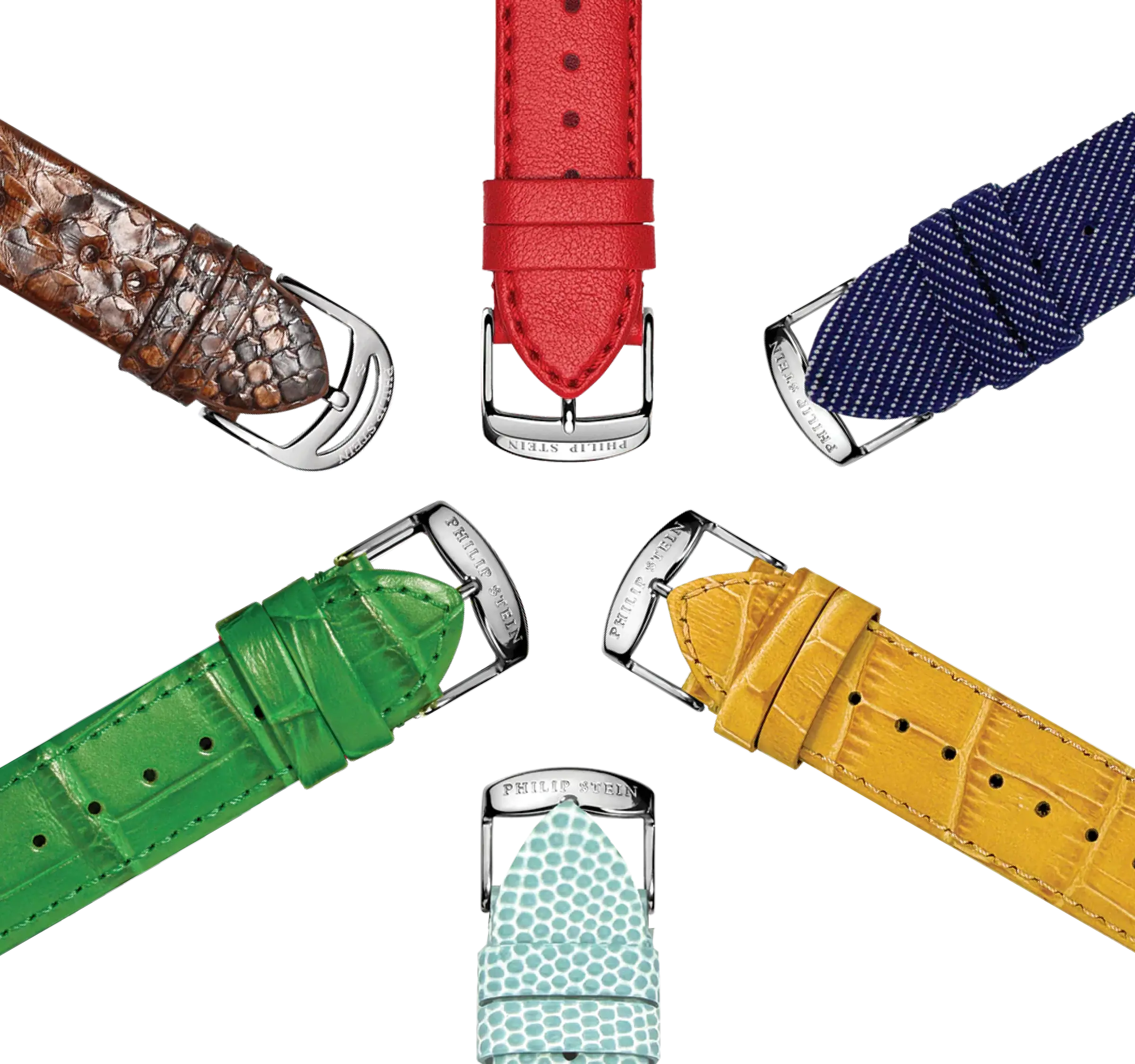 Interchangeable Strap System